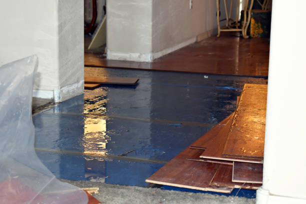 Professional Flood Damage Restoration technician working in Custar, OH
